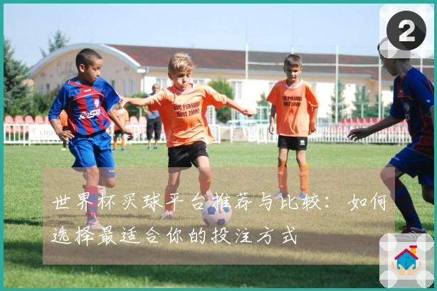 世界杯买球平台推荐与比较：如何选择最适合你的投注方式