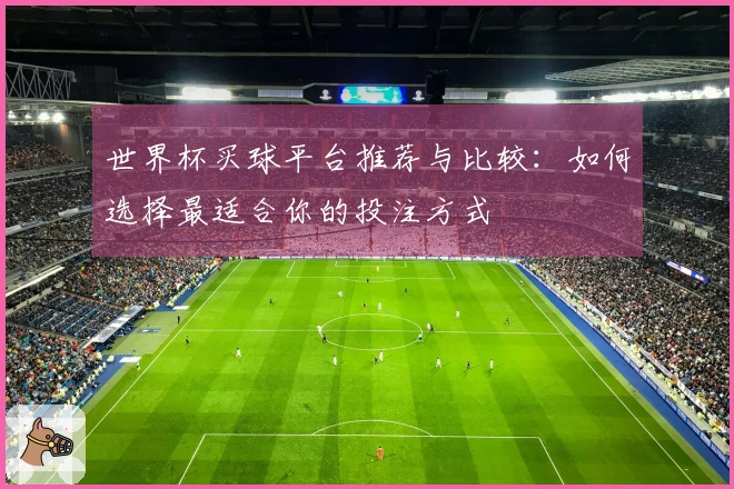 世界杯买球平台推荐与比较：如何选择最适合你的投注方式