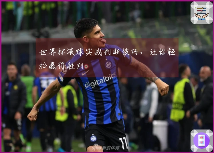 世界杯滚球实战判断技巧，让你轻松赢得胜利