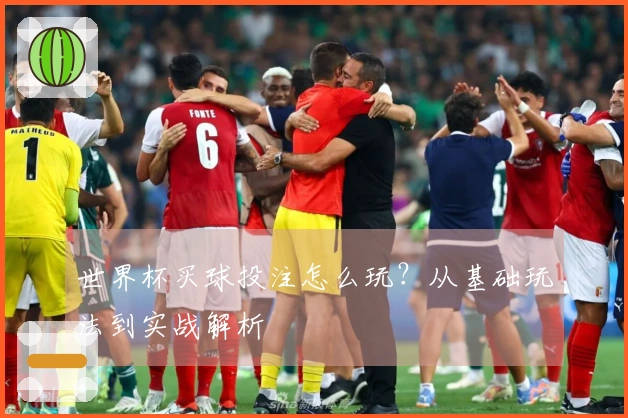 世界杯买球投注怎么玩？从基础玩法到实战解析