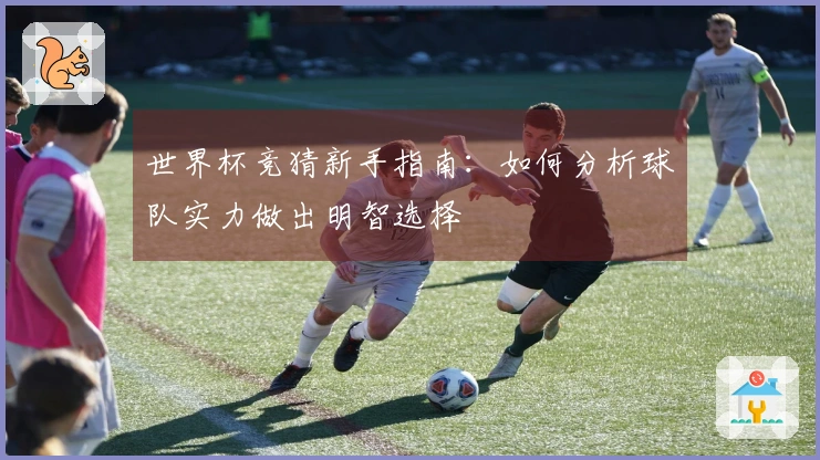 世界杯竞猜新手指南：如何分析球队实力做出明智选择