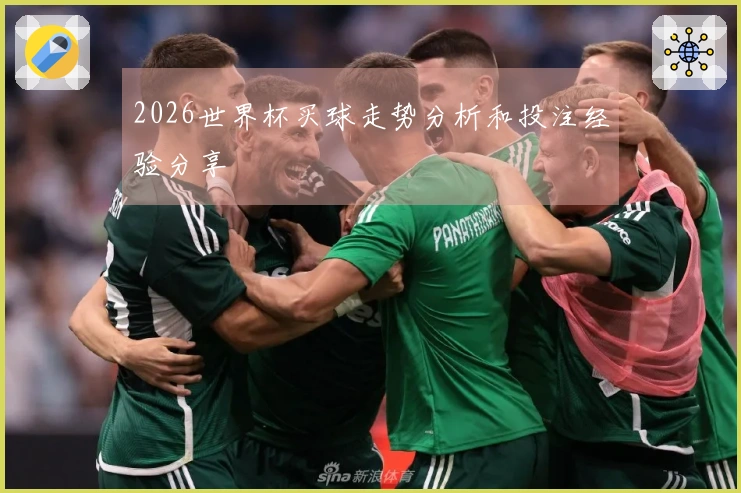 2026世界杯买球走势分析和投注经验分享