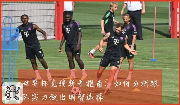 世界杯竞猜新手指南：如何分析球队实力做出明智选择
